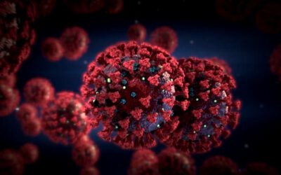 Čeští nanotechnologové navrhují změnu zákona o ochraně veřejného zdraví